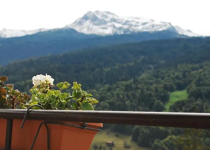 With Private Bathrooms * Saas im Prattigau